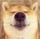 wiwi的头像