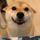 大名的头像-日本！日本语