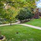 Find Ensuite to rent in Manchester