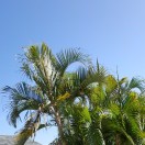 wx_林Albert27