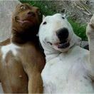 你的锋锋呀呀的头像-VAM®克苏恩资源社区