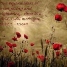 rumi