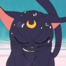 张先生