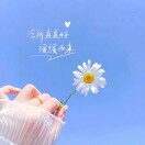 用户头标