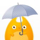 null转租&房东直租