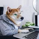 70 Columbus转租&房东直租