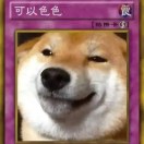 java开发工程师