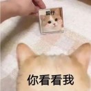 hg007的头像-VAM®克苏恩资源社区