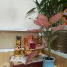 www.xbs0687.vip