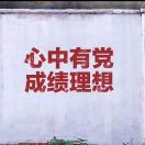 羁鸟