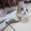 Hank 呂的头像-秀琴曲谱网