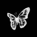 user_f79le33a0iuoo022 member profile picture