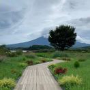 伊勢志摩的头像-日本！日本语