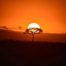 Kampus转租&房东直租