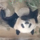 无尘的头像-VAM®克苏恩资源社区