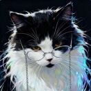 user_0ssl25uzt2z6rhg4 member profile picture