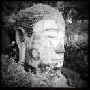 🇫🇷严阅朝🇫🇷