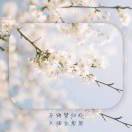陶先生的头像