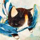 飛速猫