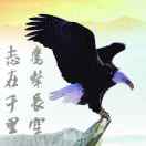 鷹擊長空