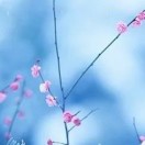 谢菲尔德求租