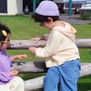 .........