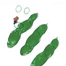 FlowersOfShanghai的头像-子曰日照-一个非官方的校园自媒体平台，为日照学子服务。本平台所有内容均不代表官方，相关通知以官方为准！子曰日照