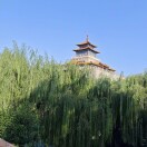 毛毛