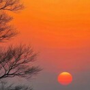 太阳FWZ的头像-辰星笔记