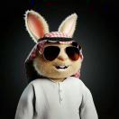 stan