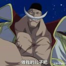 AAA000飞防吊运小张