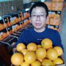 橙诺、多缘树水果