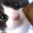 乐游的头像-松纸工作室博客