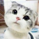 佚人名