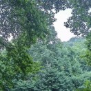 Profile picture of 1806684696