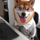 熊本会飞的头像-博士钣金 - www.bsbanjin.com