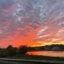 山色终所成的头像 