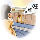 刘德正
