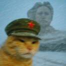 用户85524393的头像-长游分享网