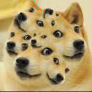 user icon