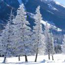 用户60491705的头像-雷恩私塾