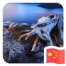 冯先生的头像