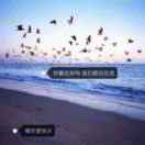 滄海一粟