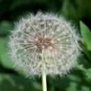 我随我心的头像-全球设计案例智能库_OJBKAI.COM设计智库