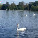 洛杉矶(加利福尼亚州)求租