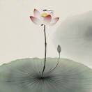 u客直谈实名认证晏中山