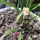 Xie Dong的头像-博士钣金 - www.bsbanjin.com