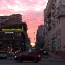товарищ