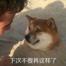 东风夜放花千树