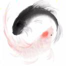 hsfeng's Avatar